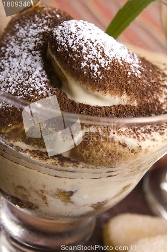 Image of Tiramisu Dessert 