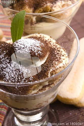 Image of Tiramisu Dessert 