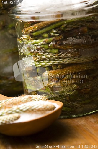 Image of Natural medicine - syrup made of pine sprouts 