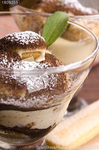 Image of Tiramisu Dessert 