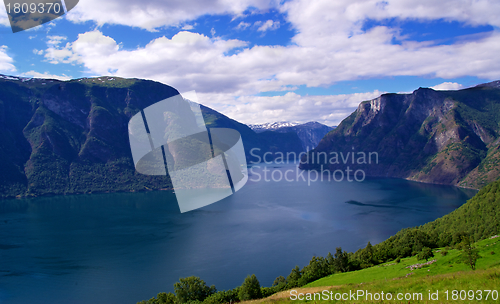 Image of Norwegian Fjord