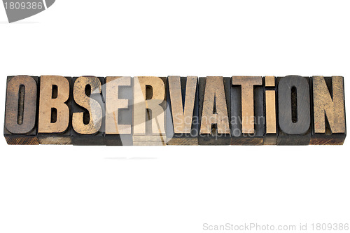 Image of observation word in wood type