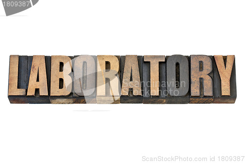 Image of laboratory word in wood type