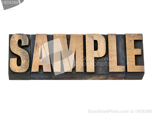 Image of sample word in wood type