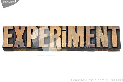 Image of experiment word in wood type