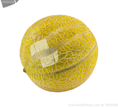 Image of Full round melon isolated on white. Healthy fruit 