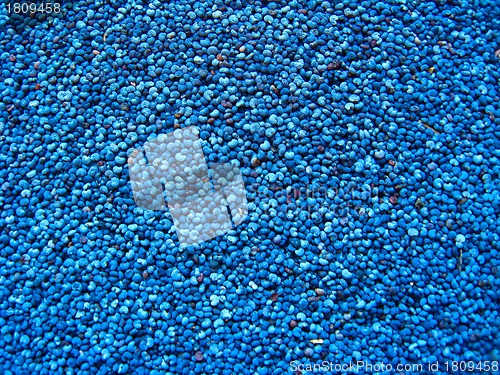 Image of Blue seeds of the poppy