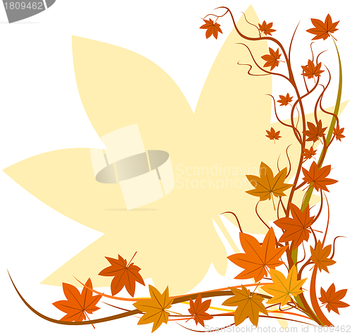 Image of Fall background, autumn leaf