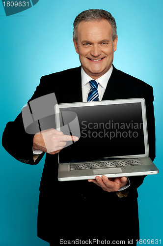 Image of Aged corporate male pointing at laptop screen