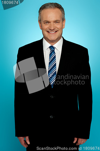 Image of Handsome aged businessman