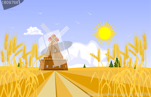 Image of Wheat field