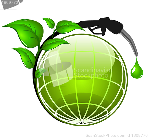 Image of Ecology concept