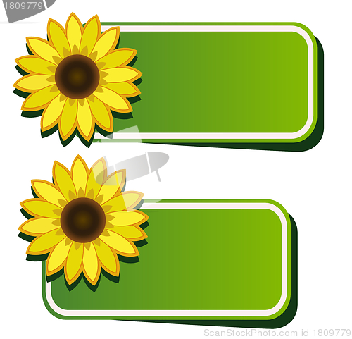 Image of Vector stickers and sunflower