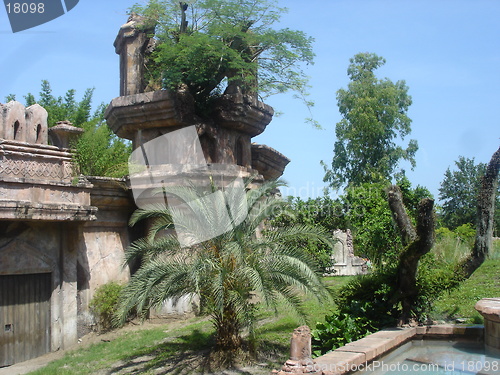 Image of Garden