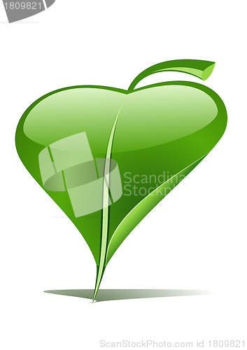 Image of Green leaf pointer