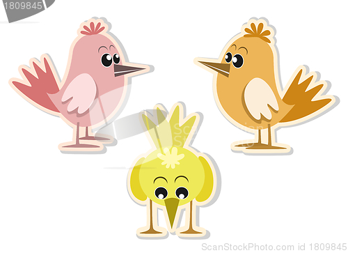 Image of Cute colorful little birds