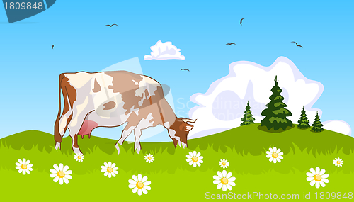 Image of Cow in the meadow at the edge of grove