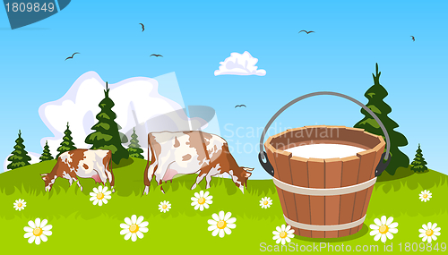 Image of Cow on meadow bucket of milk in the foreground