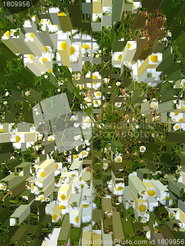 Image of The green and white background