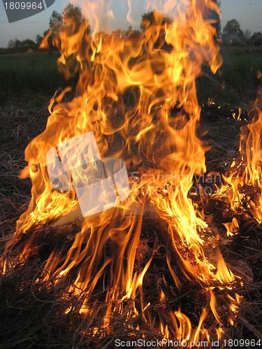 Image of Fire in the field