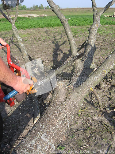 Image of The man working with petrol saw