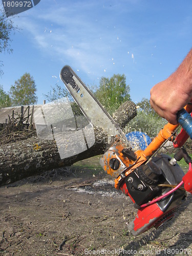 Image of The man working with petrol saw