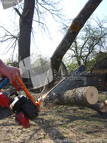 Image of The man working with petrol saw