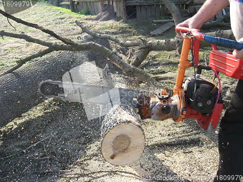 Image of The man working with petrol saw