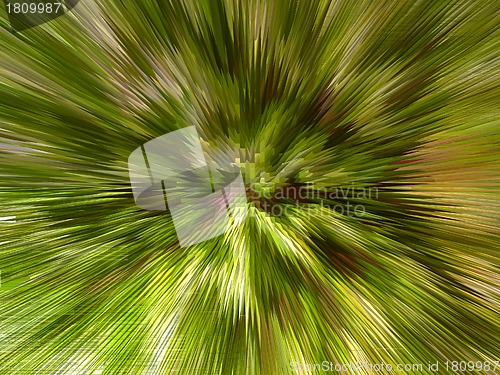 Image of Green unusual background