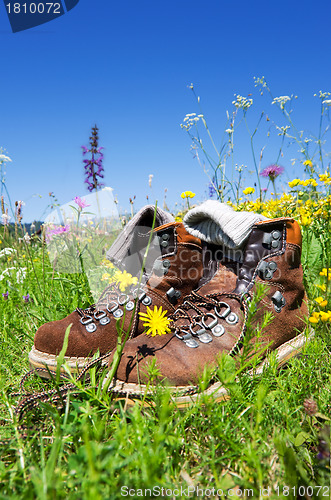 Image of hiking boots meadow