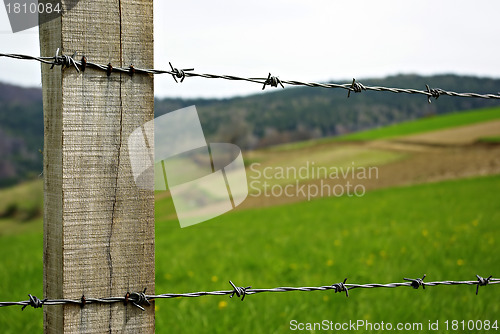 Image of Barb Wire