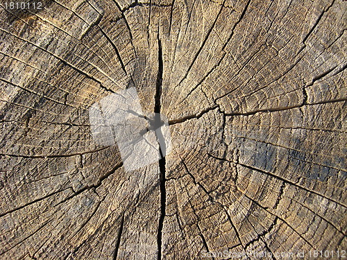 Image of Wooden dark background