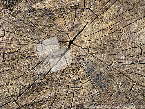 Image of Wooden dark background