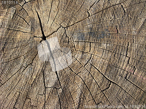 Image of Wooden dark background