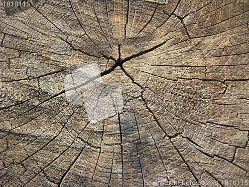 Image of Wooden dark background