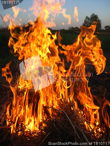 Image of Fire in the field