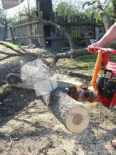 Image of The man working with petrol saw