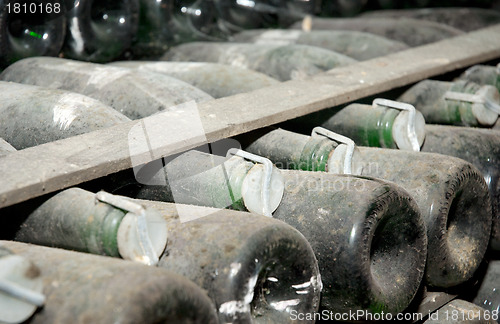 Image of wine bottles in a cellar