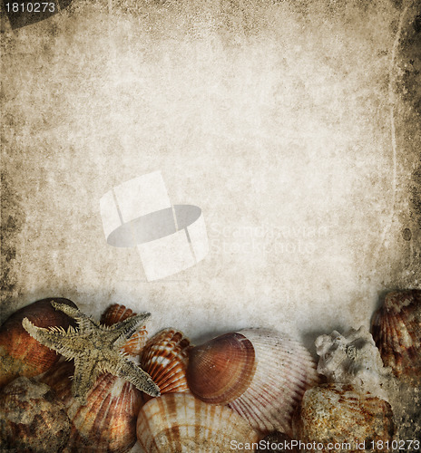 Image of Seashells frame