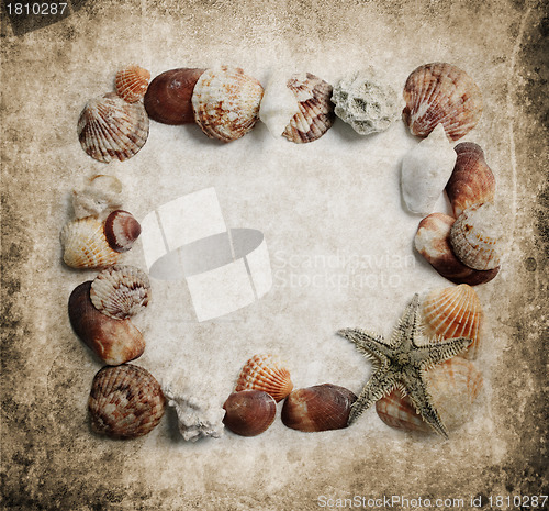 Image of Seashells frame