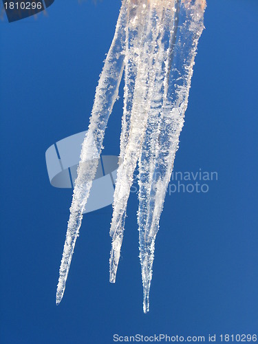 Image of Icicles on a background of the blue sky