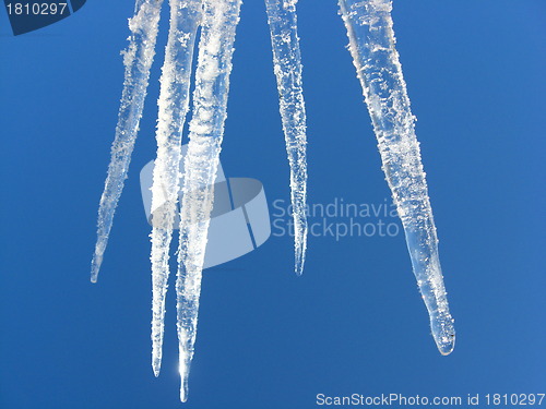Image of Icicles on a background of the blue sky