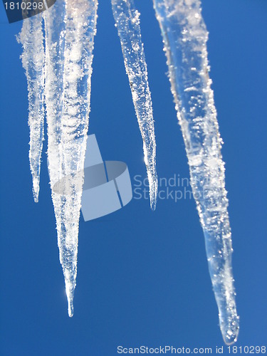 Image of Icicles on a background of the blue sky