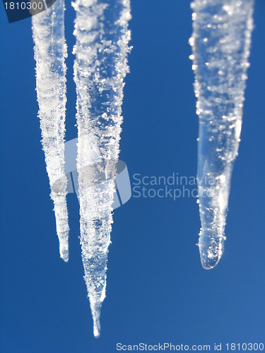 Image of Icicles on a background of the blue sky