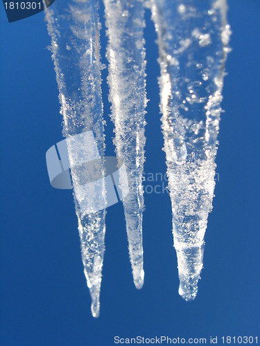 Image of Icicles on a background of the blue sky