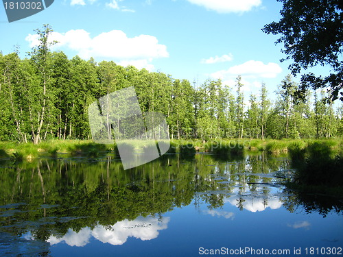 Image of Water landscape