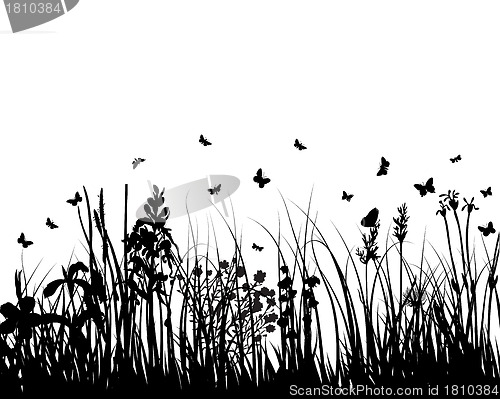 Image of meadow silhouettes