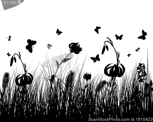 Image of meadow silhouettes