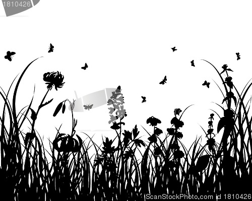 Image of meadow silhouettes