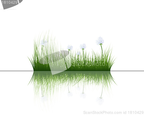 Image of grass on water